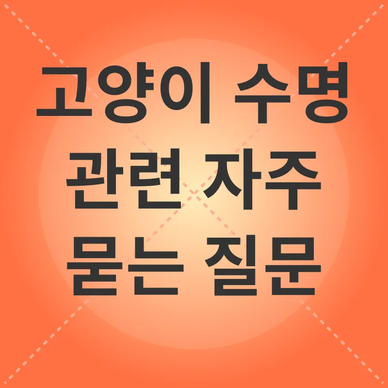 고양이 수명_4