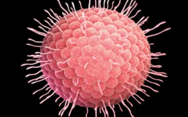 [감염병 주의] 수두 증상 및 감염 경로, 예방 방법