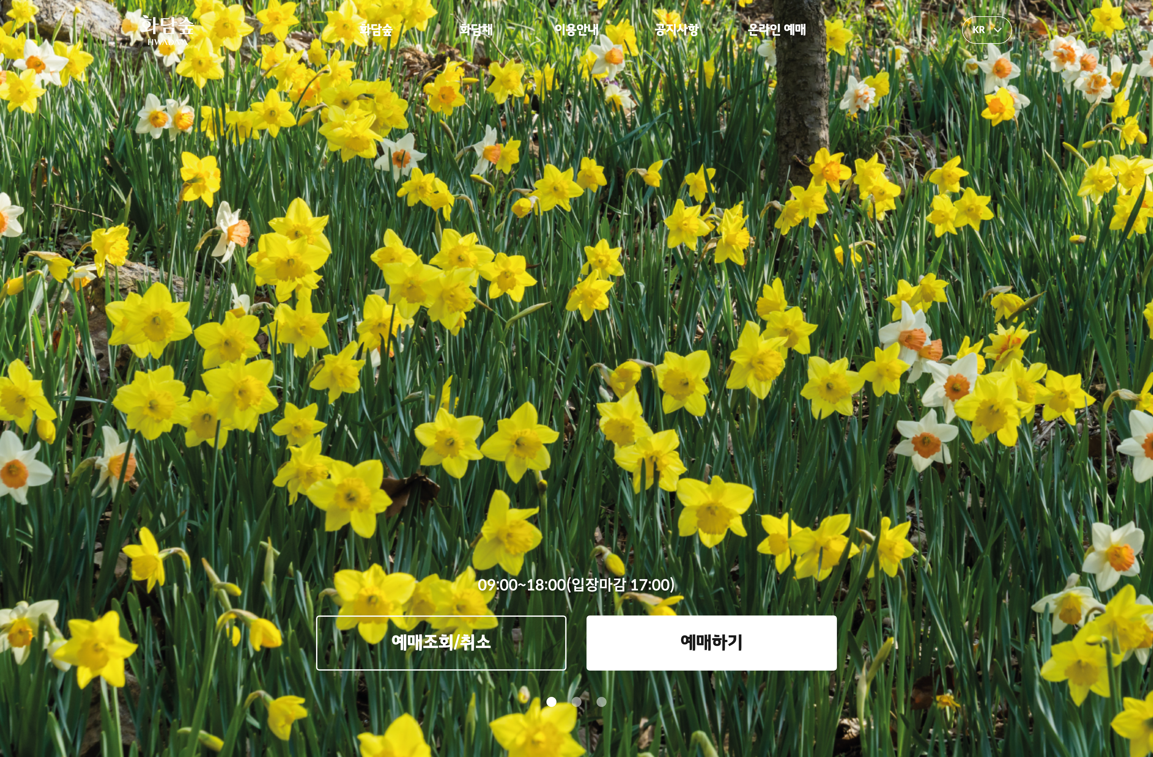 화담숲 예약 2025 완벽 가이드: 꿀팁 대방출! (feat. 주차, 코스, 맛집, 후기)
