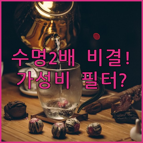 스마트카라 필터 수명 늘리는 보관 방..