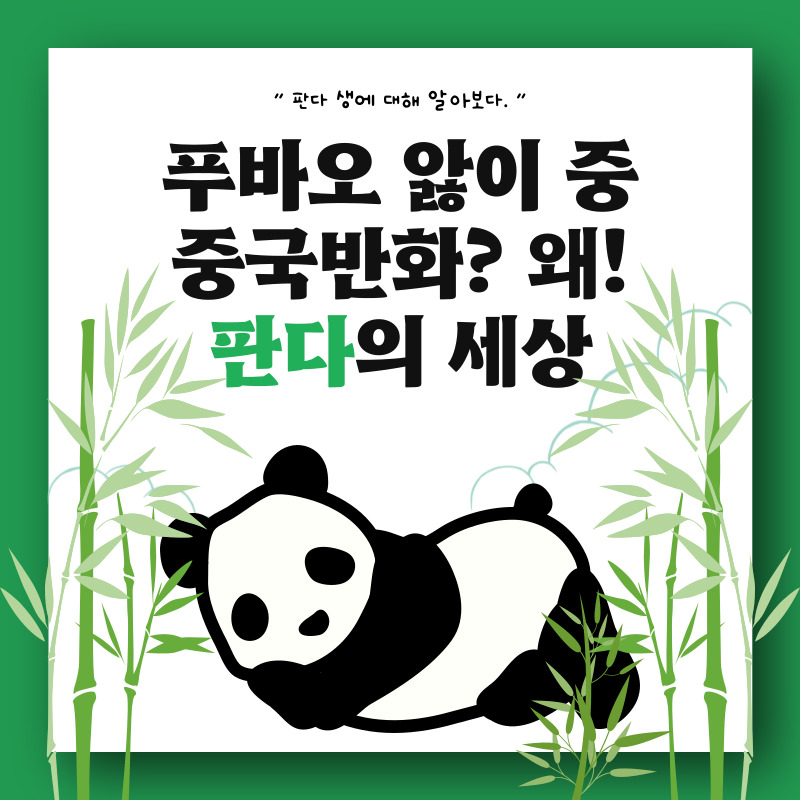 푸바오