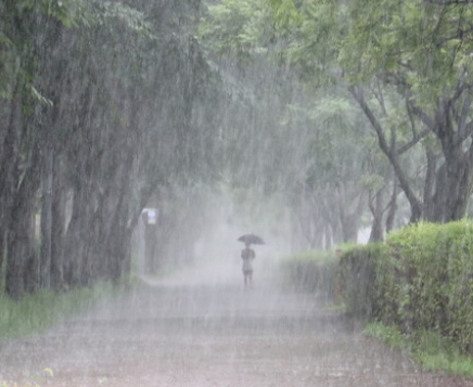 장맛비