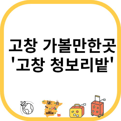 고창 가볼만한곳 '고창 청보리밭'