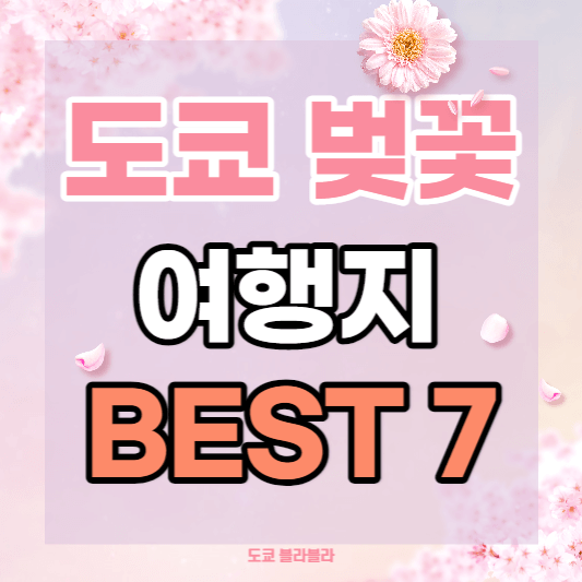 도쿄벚꽃