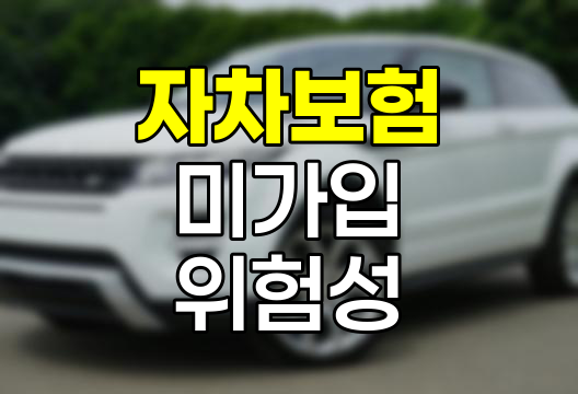 자차보험 미가입 위험성, 알아두어야 할 6가지