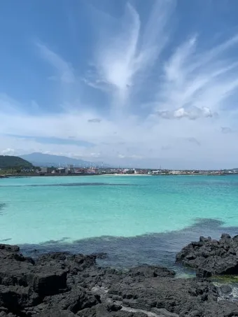 제주 여행 필수 코스 우도 배시간표 요금 예약 방법_11