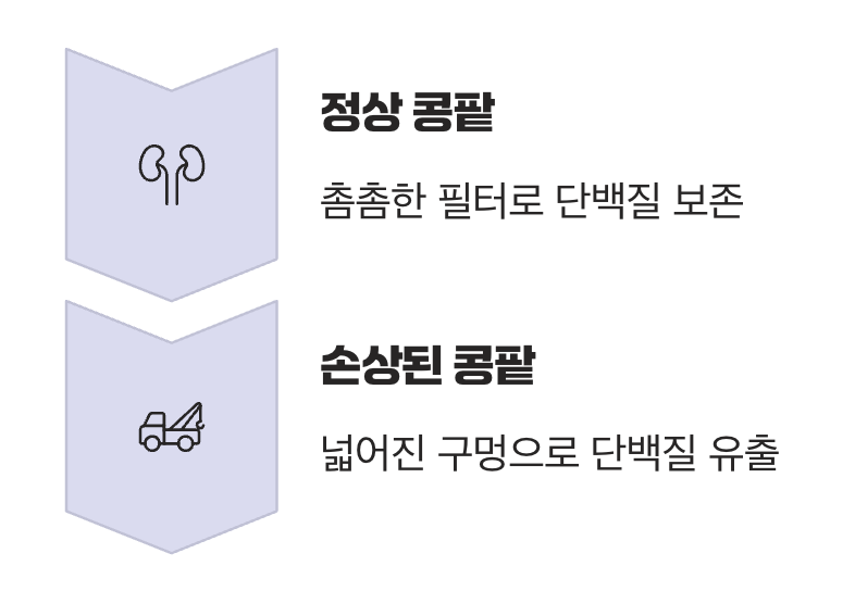 우리 몸의 필터, 콩팥이 보내는 경고
