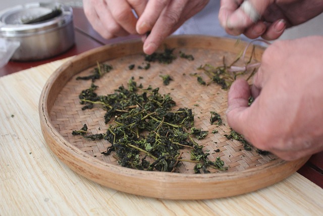 기관지에 좋은 우리나라 차