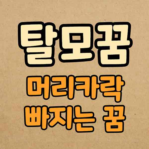 탈모꿈 썸네일 이미지