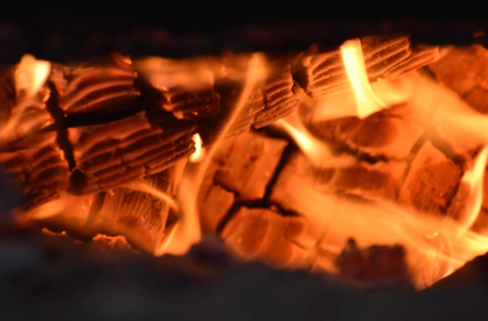 더위 먹었을 때 증상