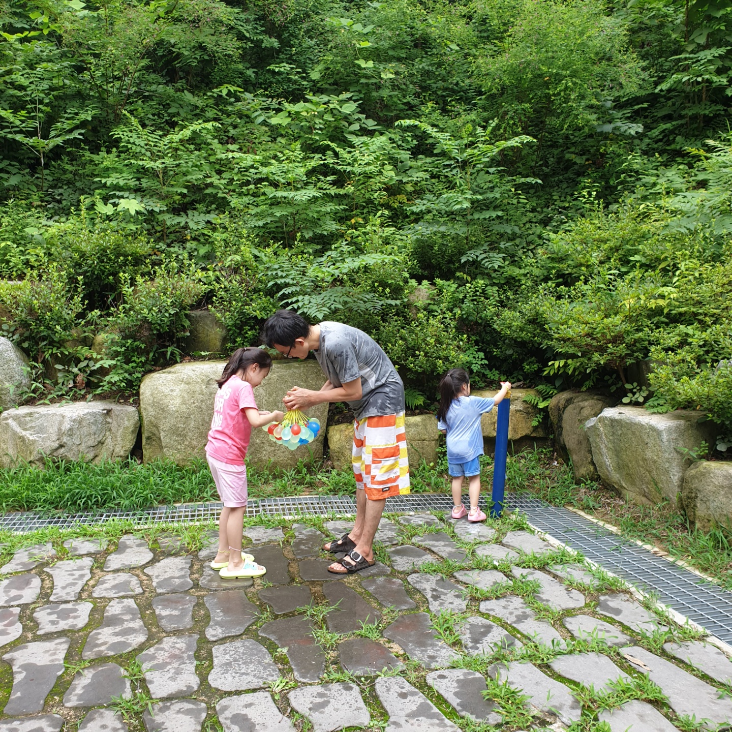 팔공산금화자연휴양림_노루_카라반