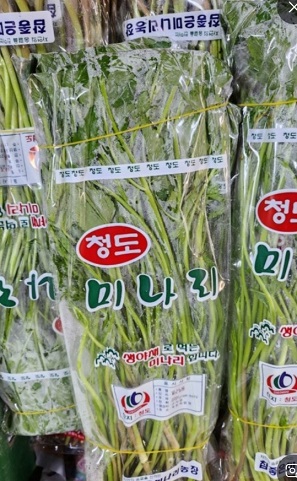 6시내고향-경북-청도-민가네-한재미나리