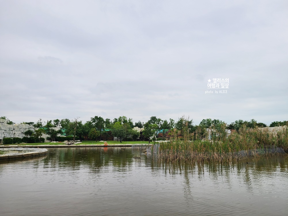 베트남 남호이안 빈원더스 사파리 후기 가격 할인입장권 예약 리버
