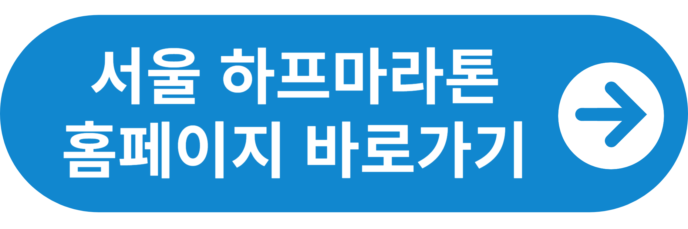 서울하프마라톤 홈페이지 바로가기