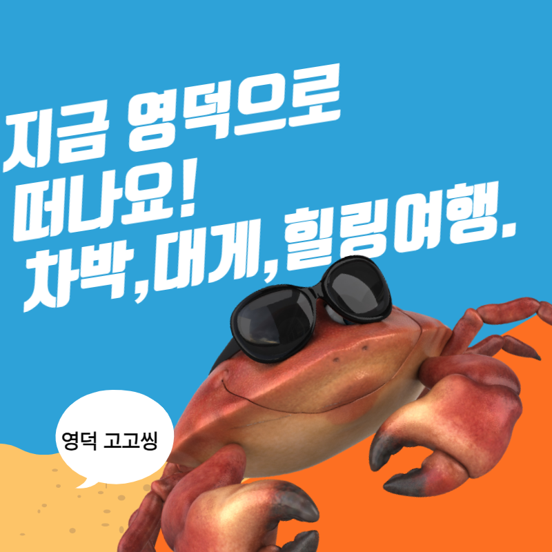영덕 여행