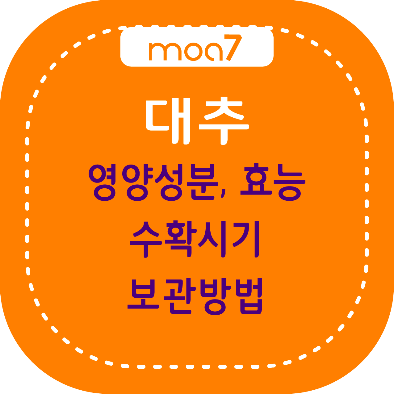 대추 영양성분, 효능, 수확시기, 보관방법