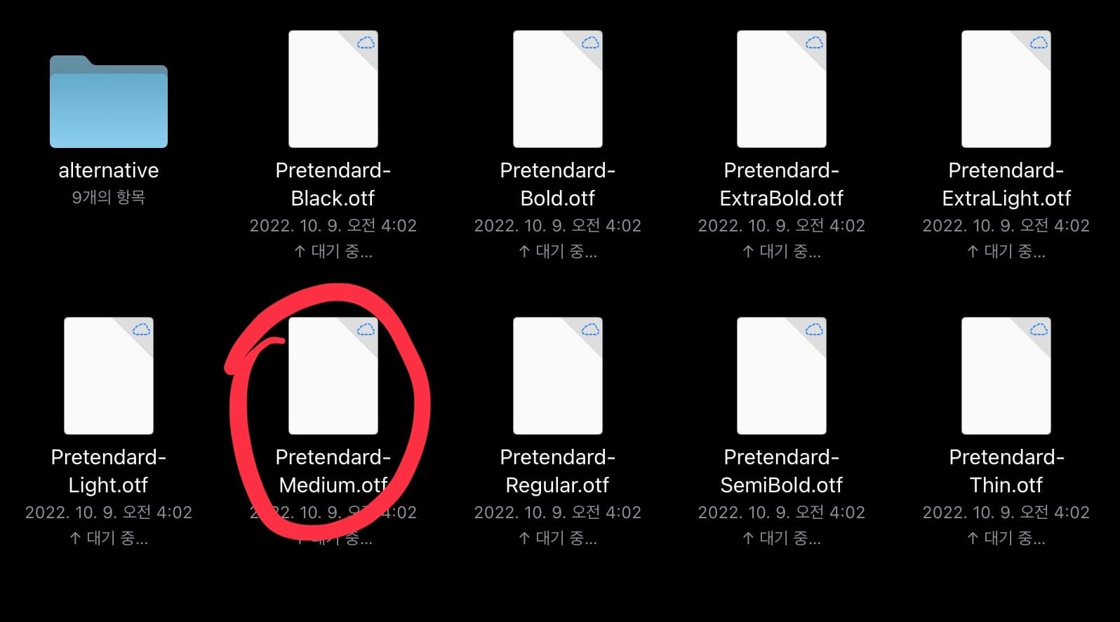 여러 파일확장자가 있으며 그중에 otf파일을 동그라미친 사진입니다.