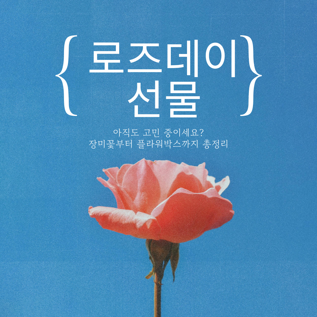 로즈데이 선물 추천