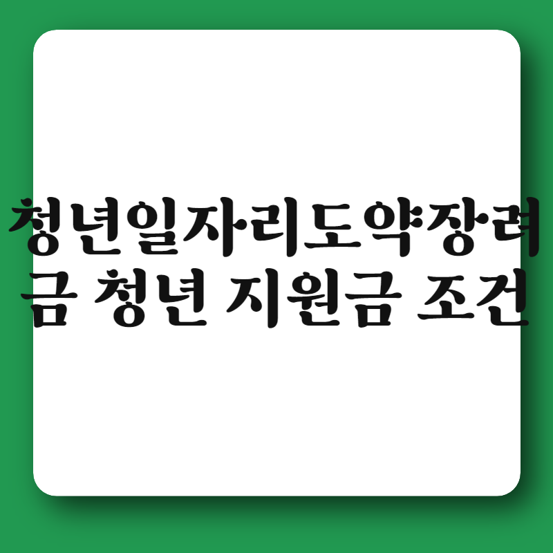 청년일자리도약장려금 청년 지원금 조건