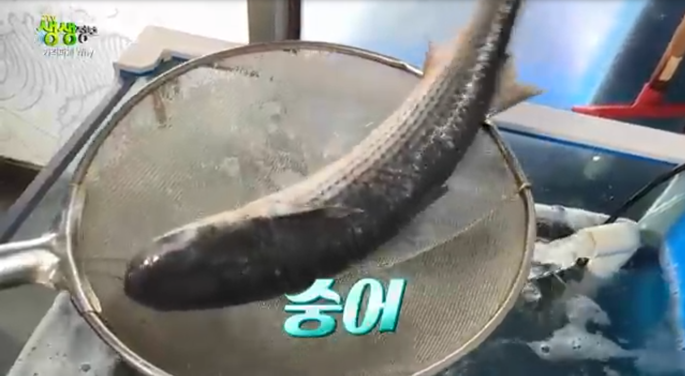 생생정보 가격파괴why 모둠회정식 인천 서구