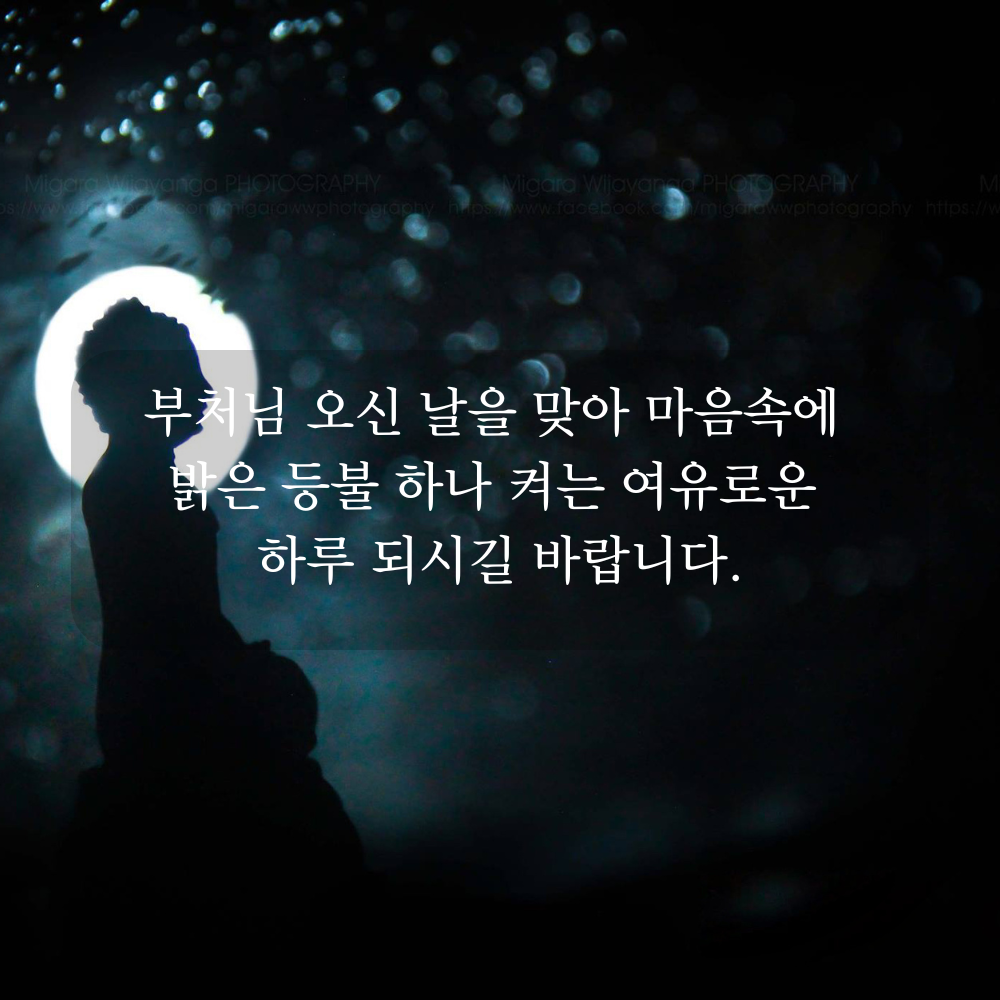 부처님 오신 날 인사말 문구 이미지 석가탄신일 사진 글귀 불상