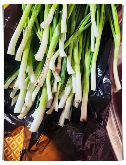 파 다듬기 12