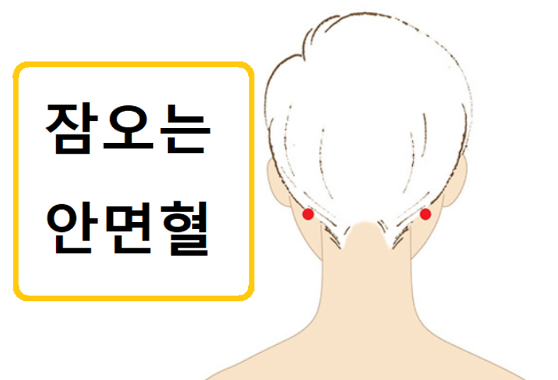 잠오는-안면혈-위치