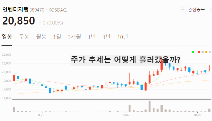 위고비 관련주 대장주 테마주 수혜주 TOP7