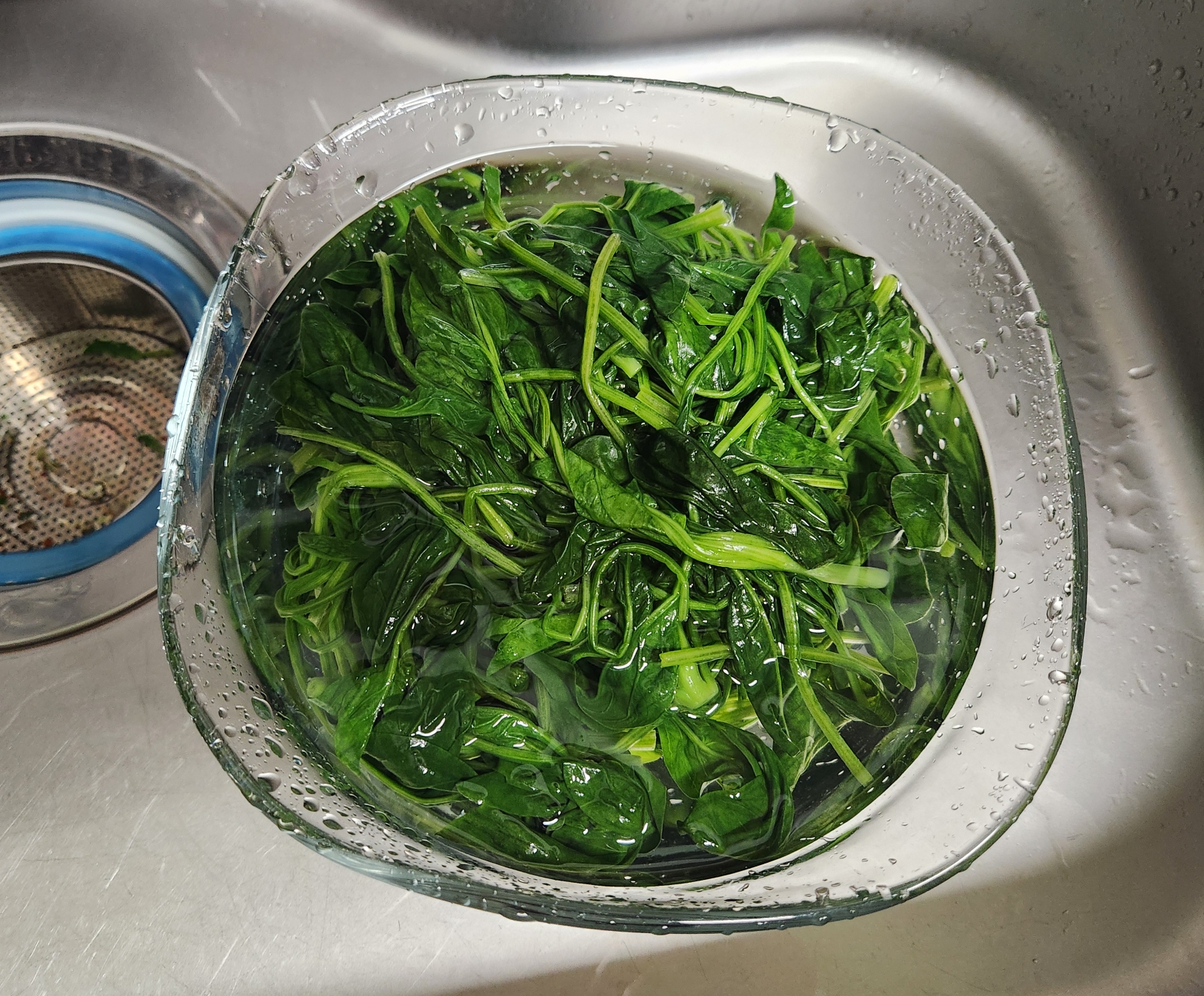 삶은 시금치를 찬물에 헹구는 이미지