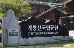 계룡산 국립공원 주차장