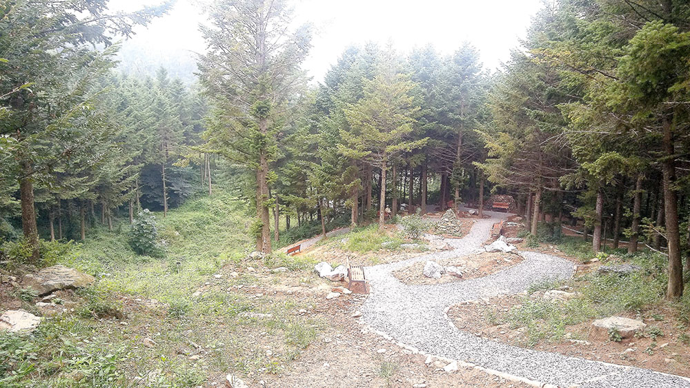 대모산·우면산 '악플러'