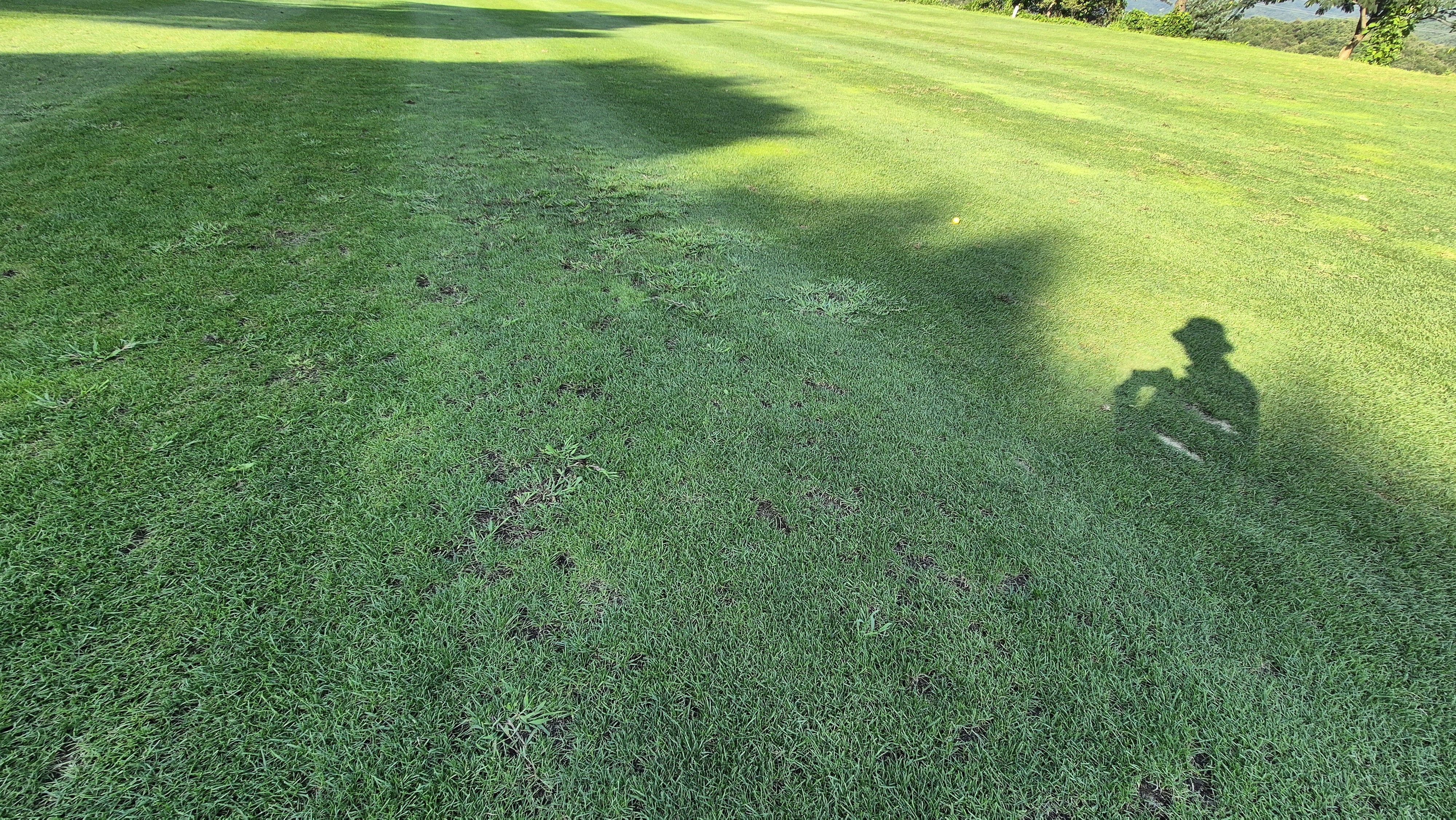 마론cc 라운드 후기