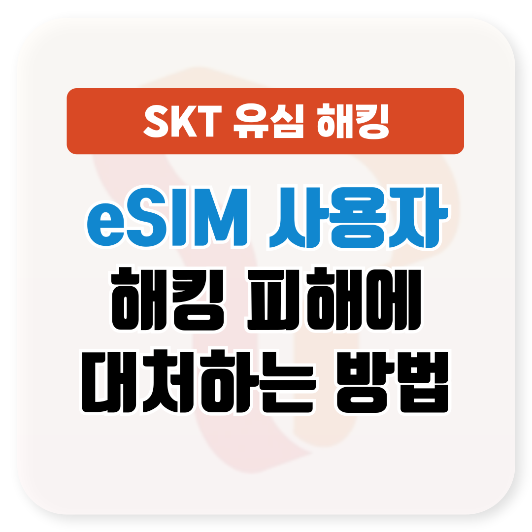 eSIM 사용자 SKT 유심 해킹 피해에 대처하는 방법