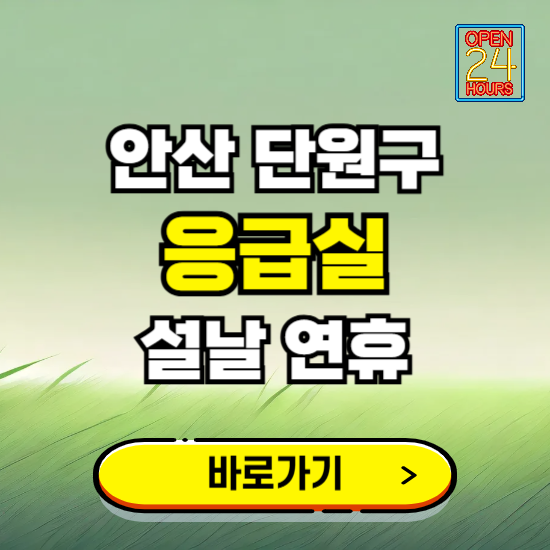 안산시 단원구 설날 연휴 비상진료 응급실 병원 찾기 ❘ 내근처 24시 야간 심야 휴일 가능한 곳