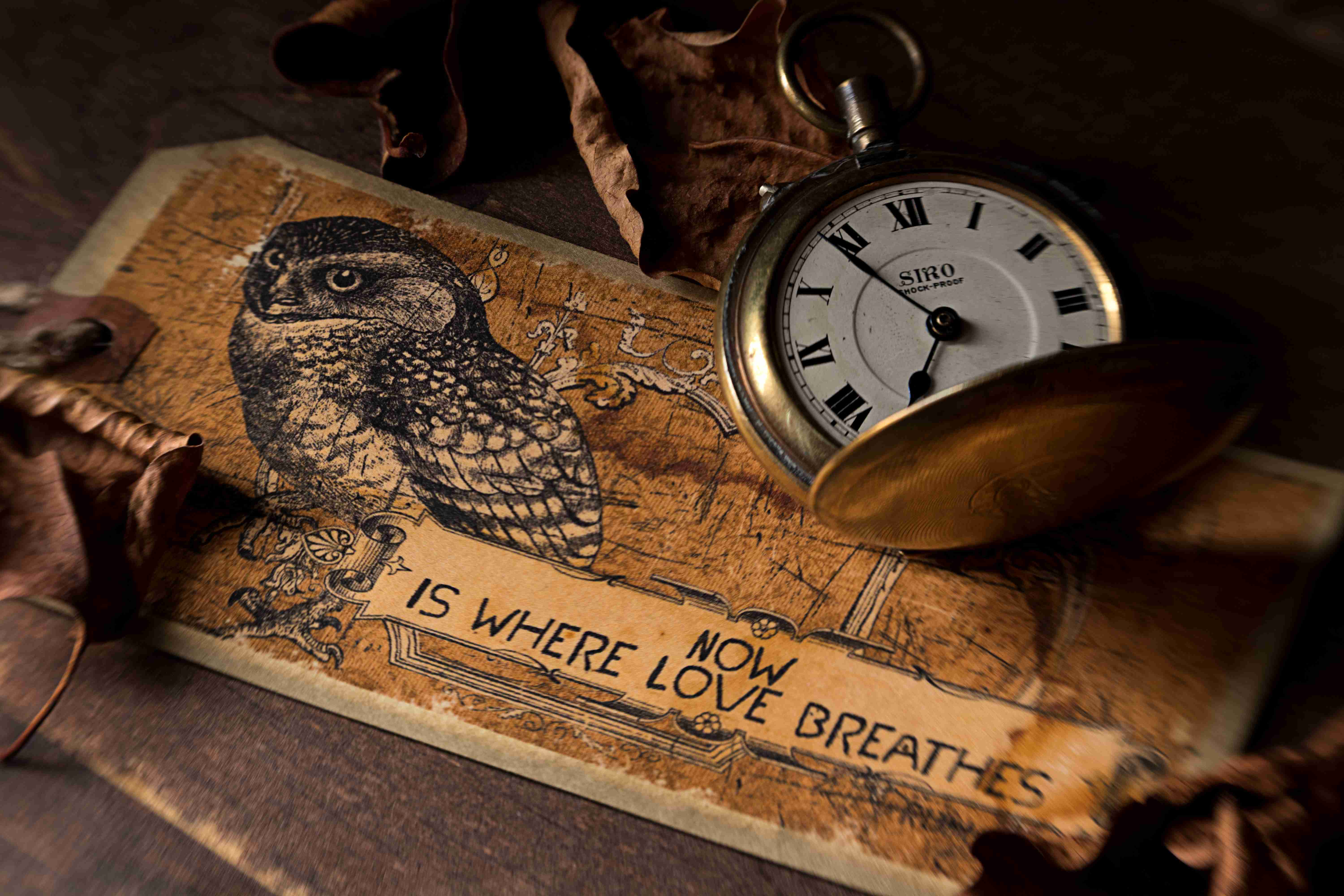 정부지원사업 신청 전 필수! 무료 사업계획서 코칭 총정리