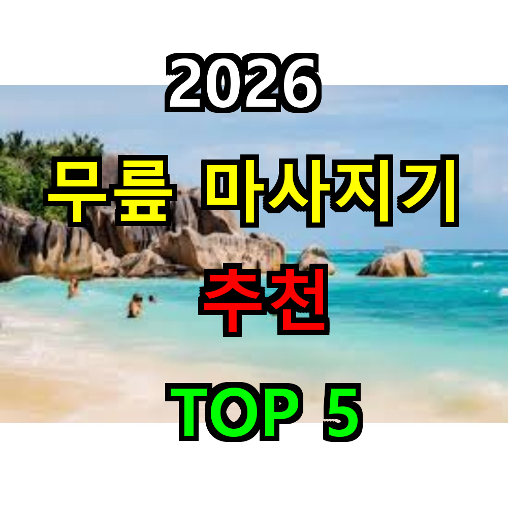 2026 무릎 마사지기 추천 TOP 5