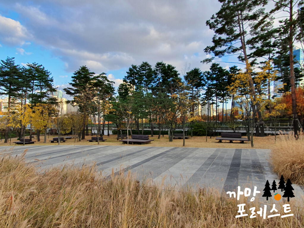 광교호수공원 피크닉