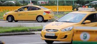 운전면허 분실신고