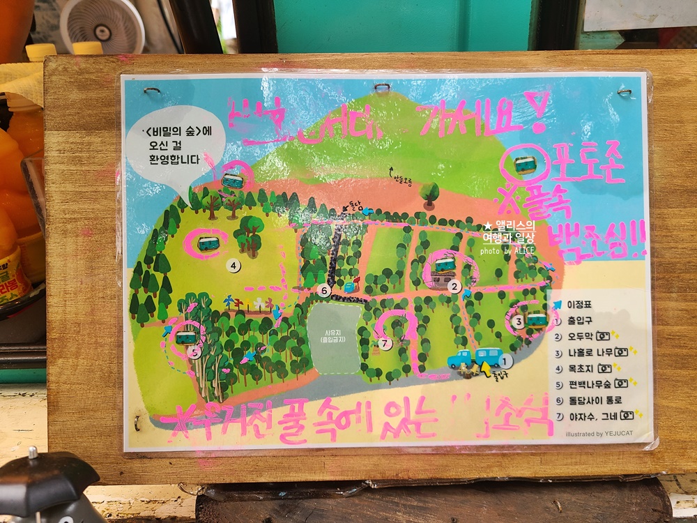 제주 비밀의 숲 동쪽 안돌오름 제주 핫플 이국적인 포토존