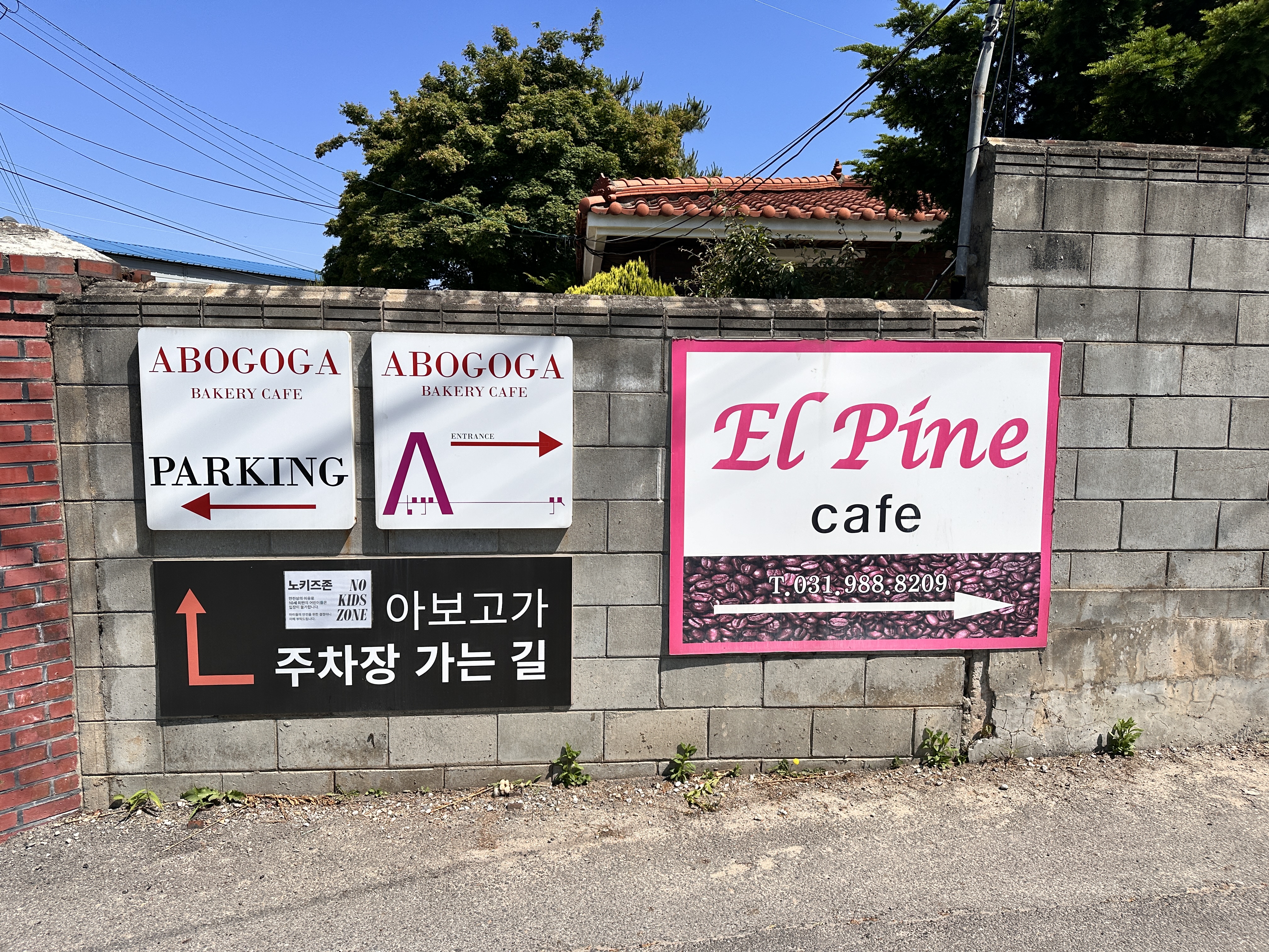 카페 아보고가