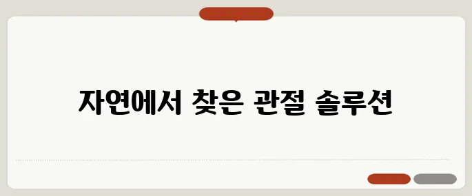 보스웰리아 효능 관절 부기 줄이는 자연 치료제
