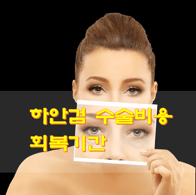 하안검 수술 비용