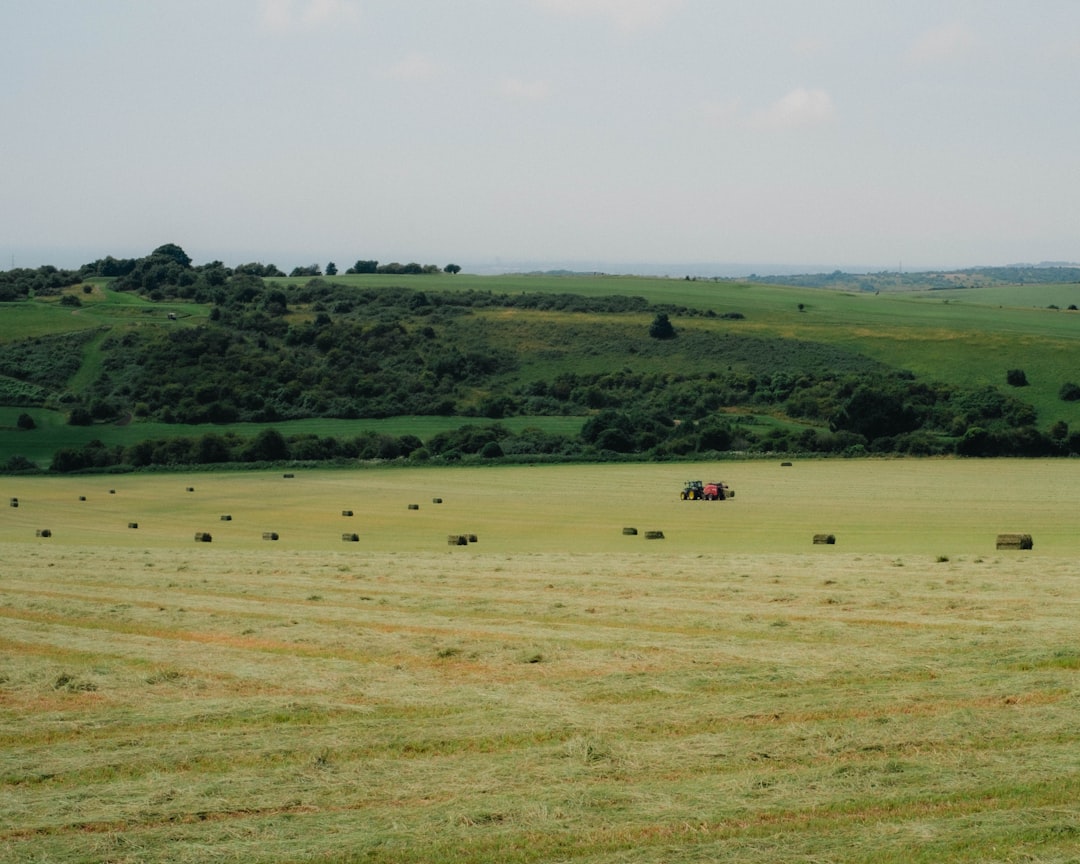 Conservation