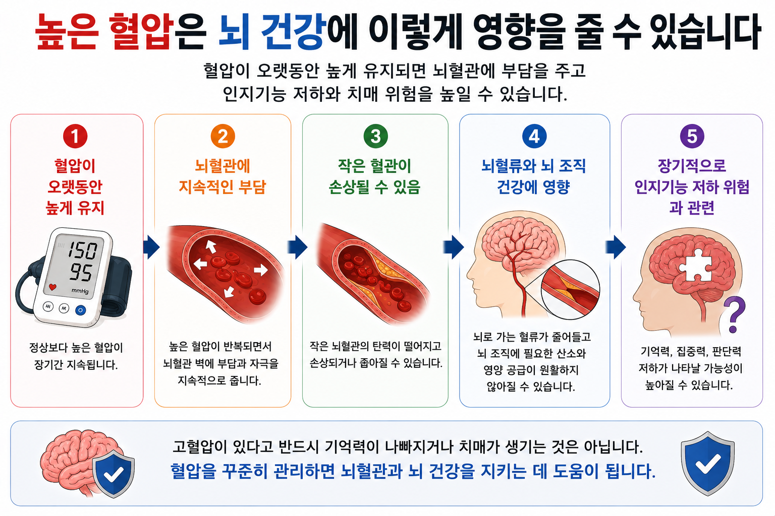높은 혈압과 뇌혈관 손상·인지기능 저하의 관련성을 설명한 그림