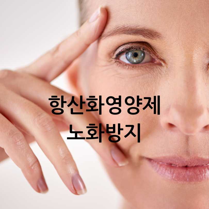항산화영양제