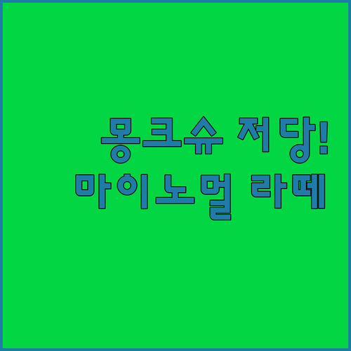 다이어트 필수템 몽크슈 저칼로리 시럽..