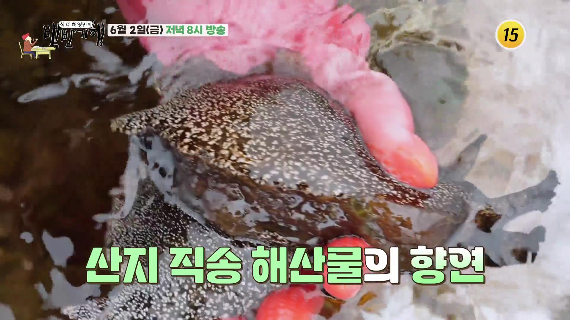식객 허영만 백반기행 포항 월포 해수욕장 오션뷰 100% 자연산 횟집&#44; 회밥 맛집