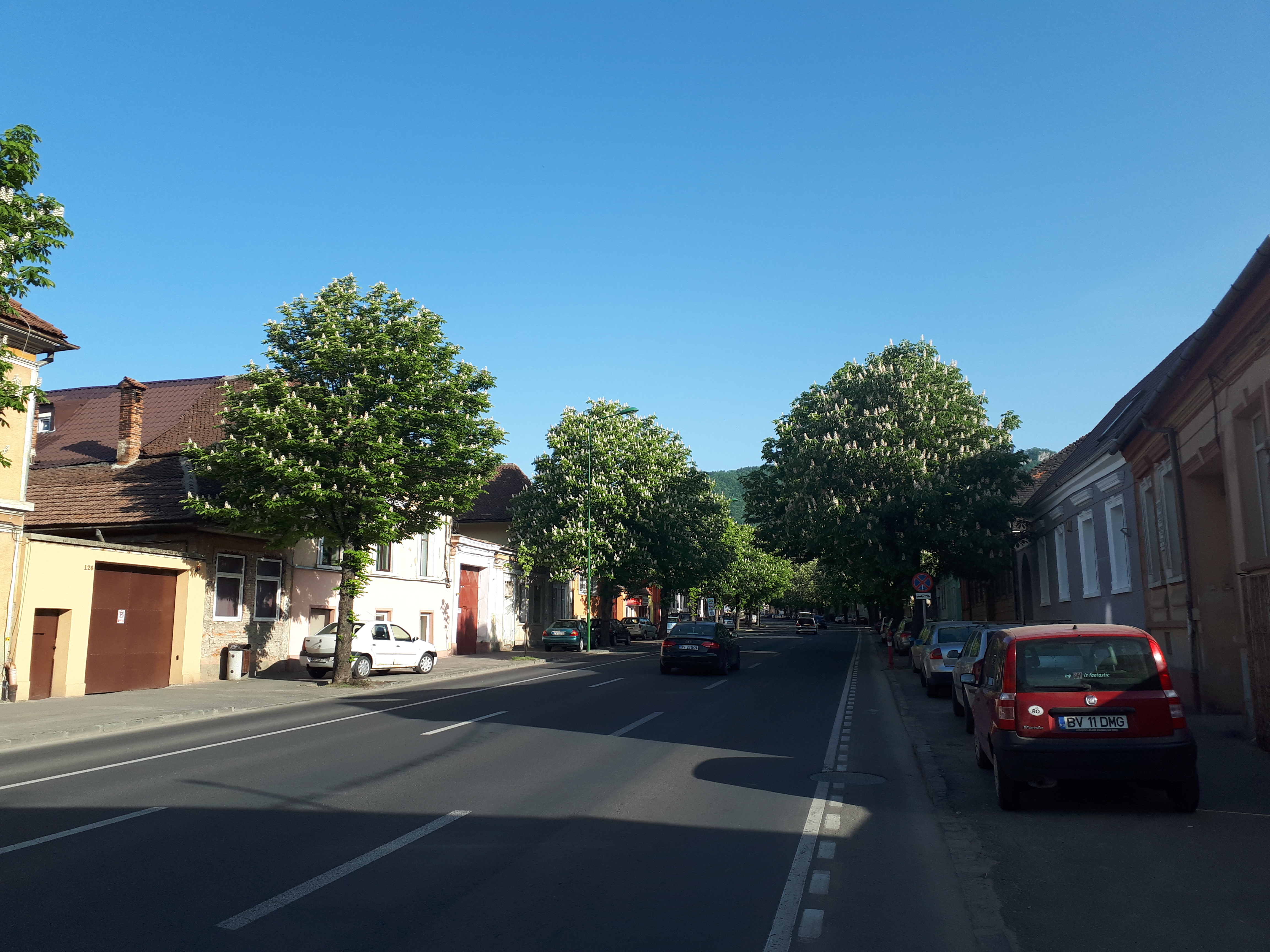 루마니아 브라쇼브 도로