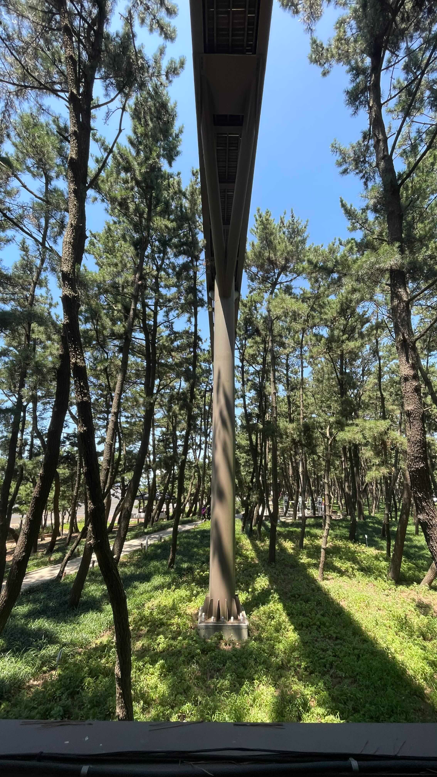 장항 스카이워크