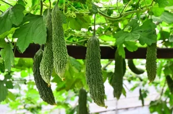 여주 가볼만한곳 베스트10 완벽 관광 가이드_16